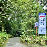 箱根神社の脇参道