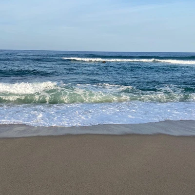 강릉 해수욕장: 안목해변, 경포해변 | 트립닷컴 강릉시 트래블로그