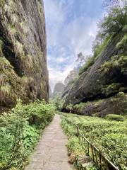 The Rock Tea Trail