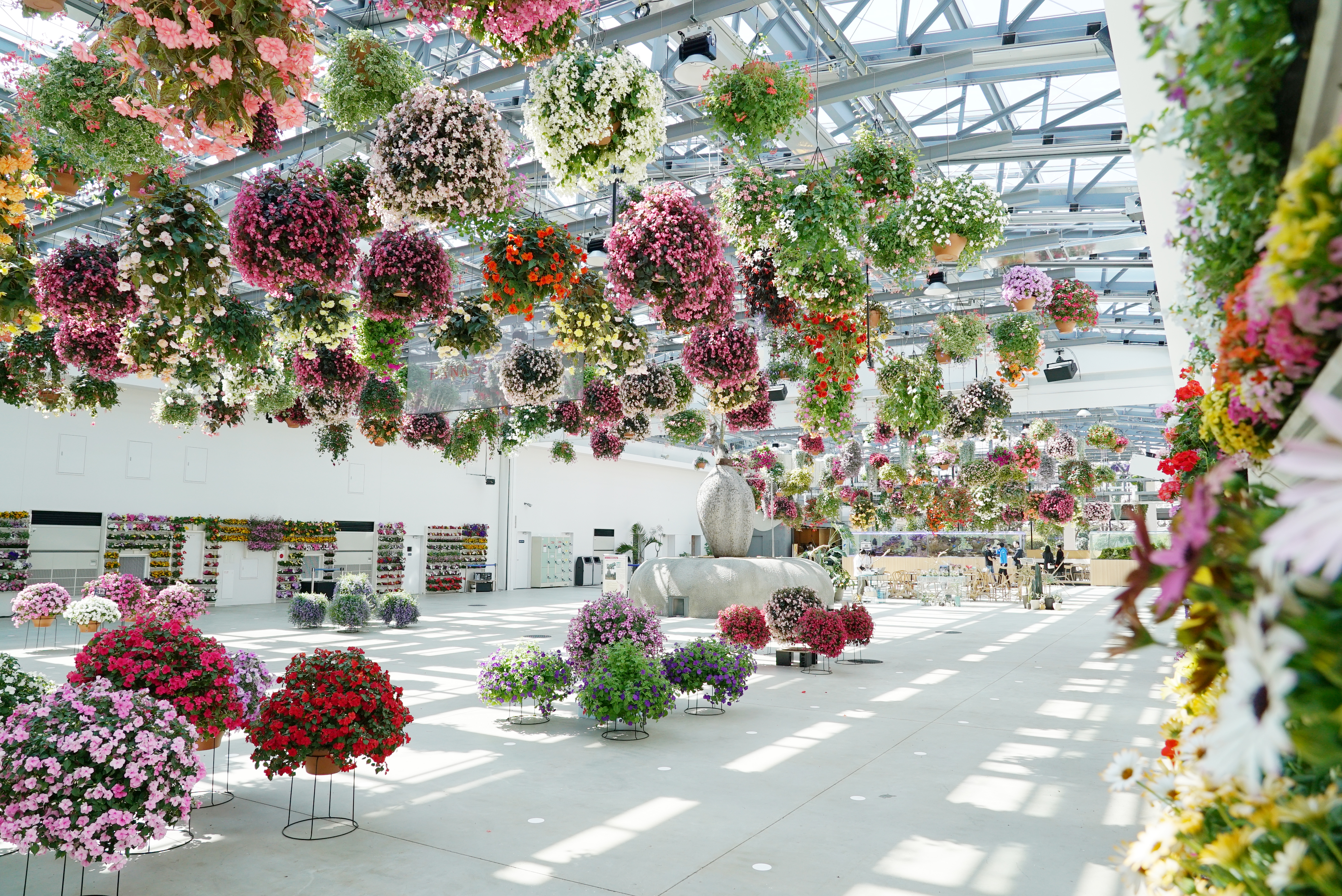 東京 HANA·BIYORI 入場Eチケット 予約