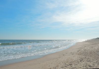 Barracuda Beach