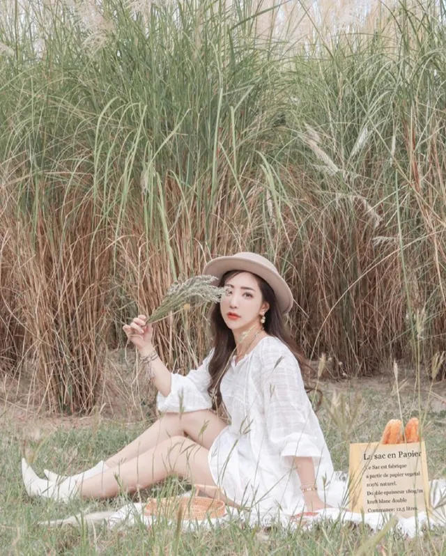 台中中央公園 芒草