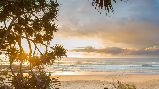 Sunshine Coast