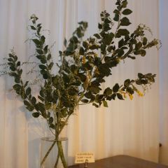 Soul kitchen User Photo