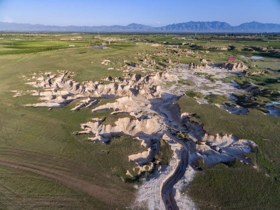 Datong Soil Forest