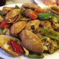 Shanhai Saikan張用戶圖片