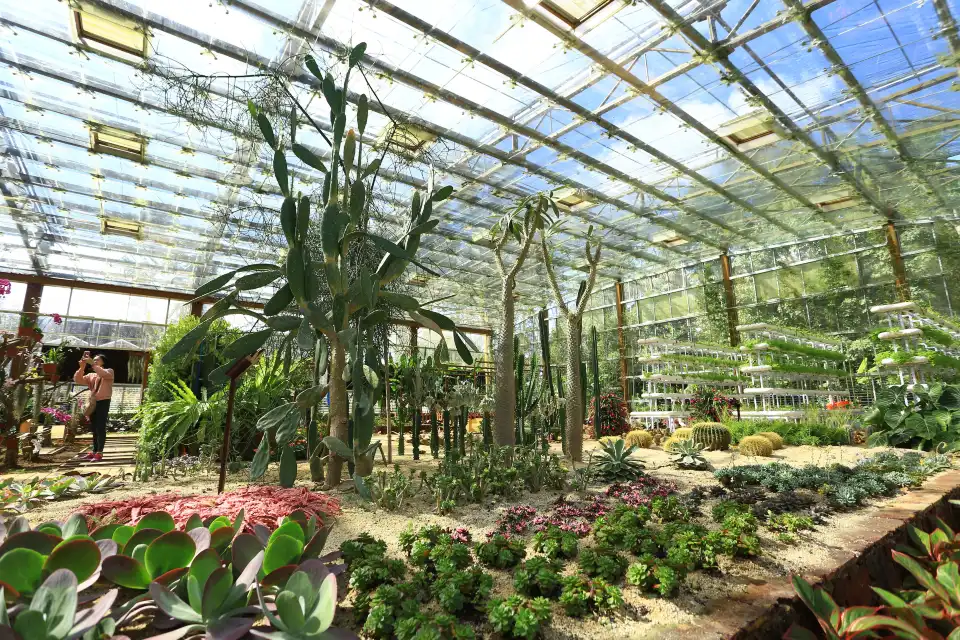4_Xinglong Tropical Botanical Garden