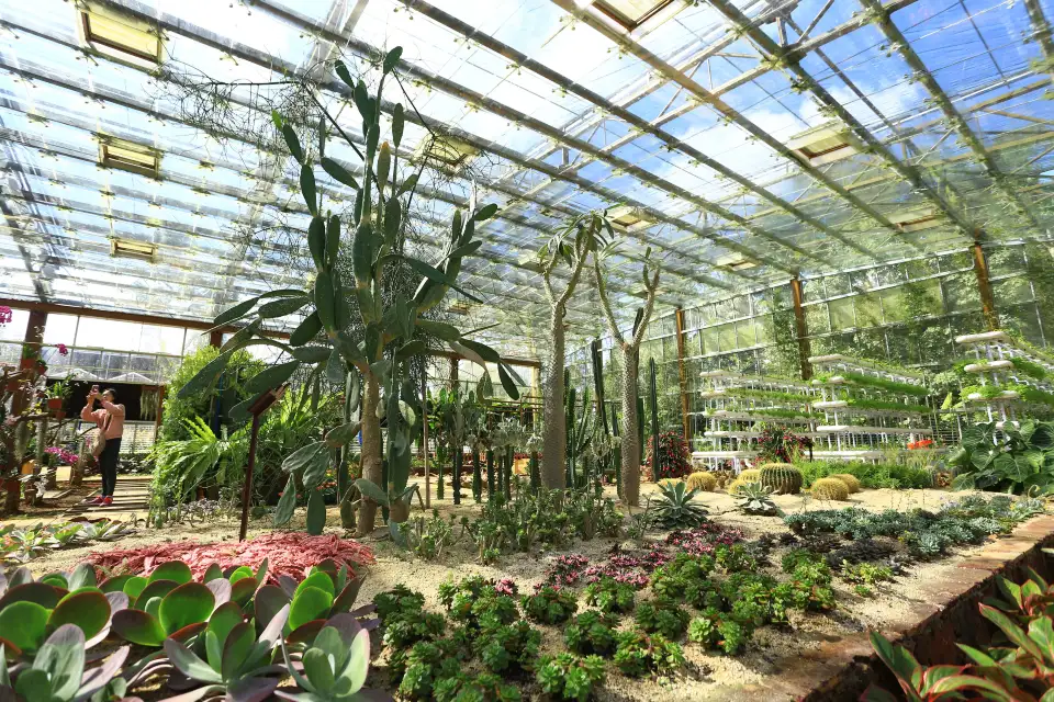 4_Xinglong Tropical Botanical Garden