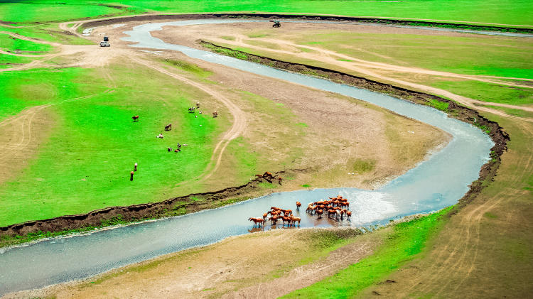 呼倫貝爾大草原