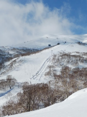 洞爺滑雪場