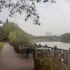 華東療養院餐廳張用戶圖片