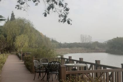 華東療養院餐廳