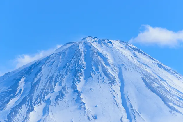 河口湖ホテル 口コミ