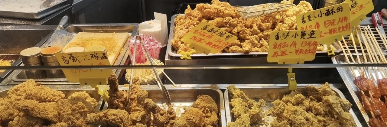 ZHENG XIN JI PAI FEI DONG DIAN