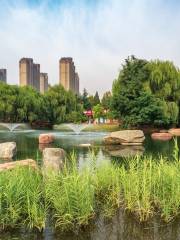 Xingyang People's Park