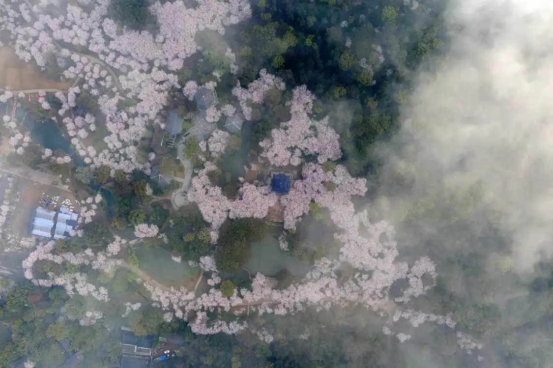 칭룽후 공원 주변 호텔