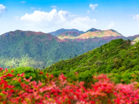 大囲山国家森林公園