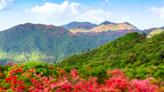 大圍山國家森林公園