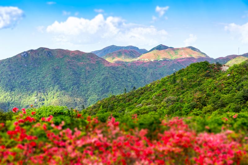 大圍山國家森林公園