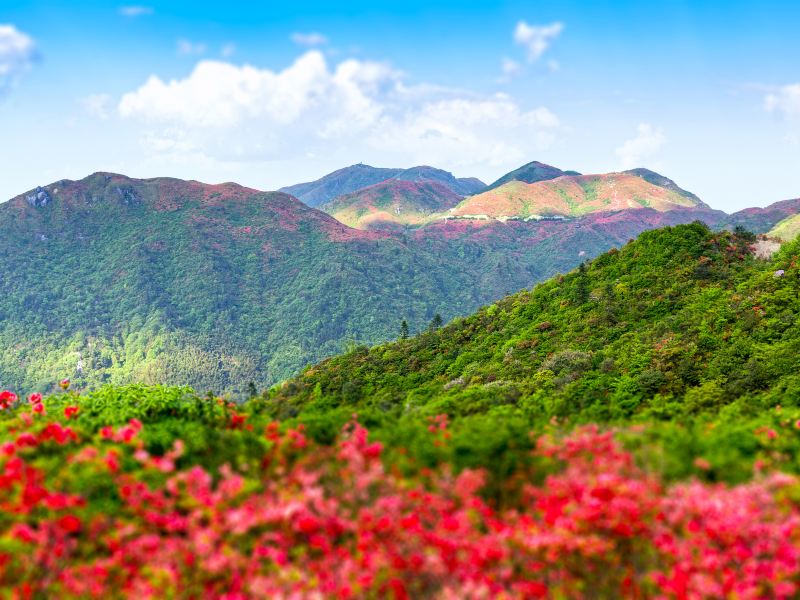 大圍山國家森林公園