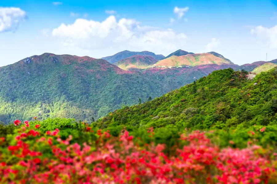 다위산 국립삼림공원