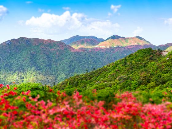 Dawei Mountain National Forest Park