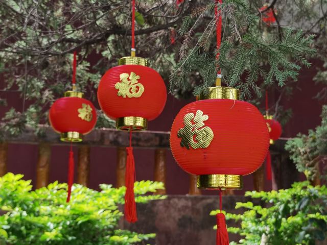 Guangdong Shenguangshan Forest Park