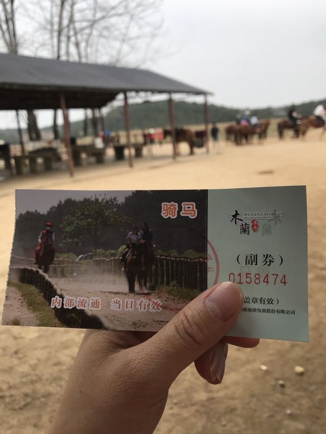 목련 초원