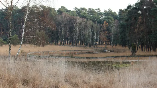 Oisterwijkse Bossen en Vennen