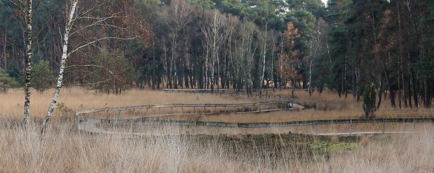 Oisterwijkse Bossen en Vennen