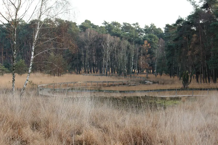 Oisterwijkse Bossen en Vennen