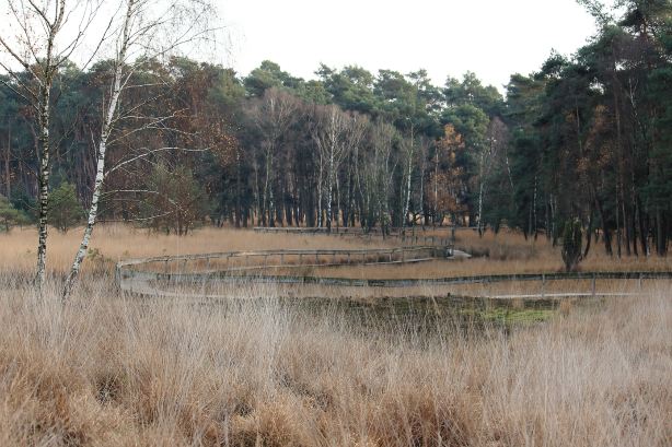 Oisterwijkse Bossen en Vennen