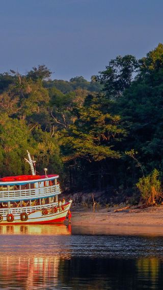 Brazil Amazon Rainforest 1-day tour
