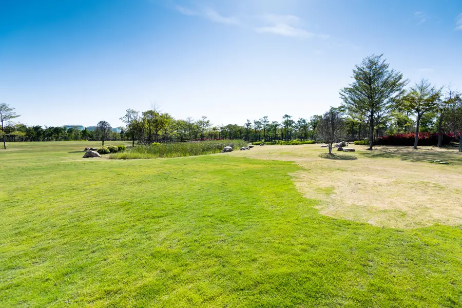 高東公園