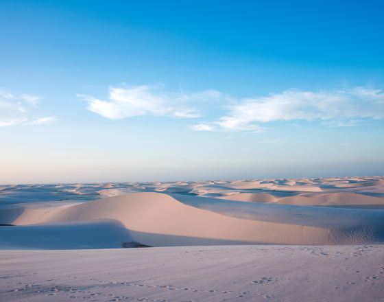 巴雷里尼亞斯 自由行套票