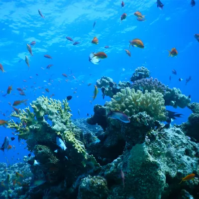 An Lam Retreats Ninh Van Bay