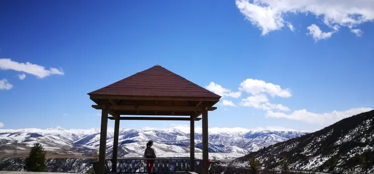 阿坝县若柯牧场