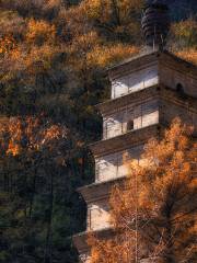 Shengshou Temple