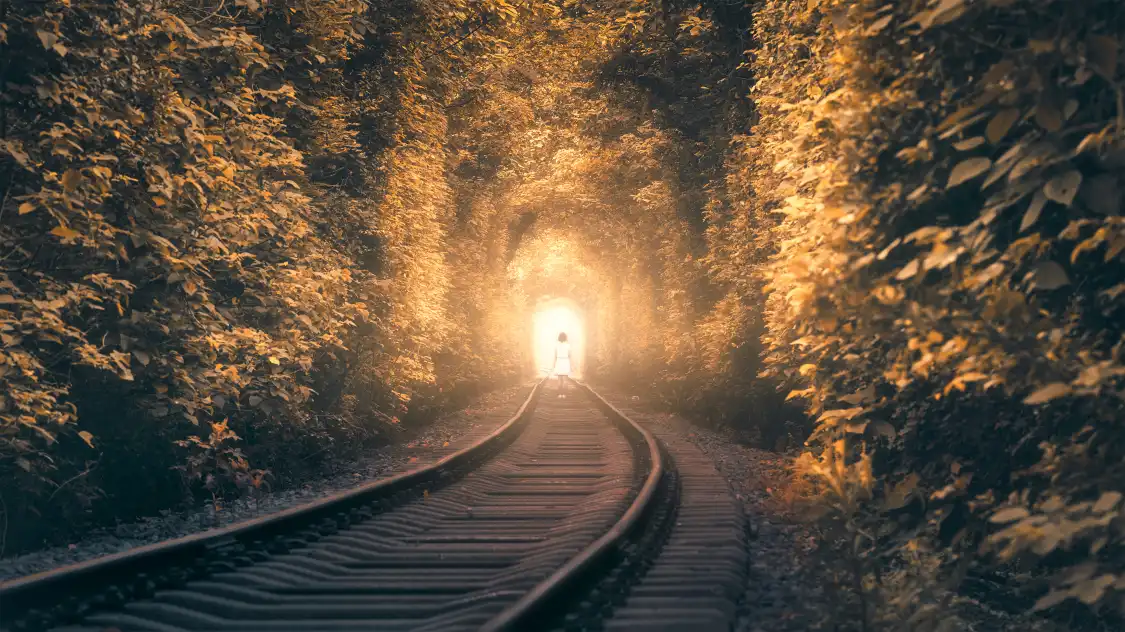 장닝 아이칭쑤이다오(강영 애정추도) 주변 호텔