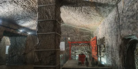 【彭城說 含門票 金牌導遊】徐州龜山漢墓深度講解2小時
