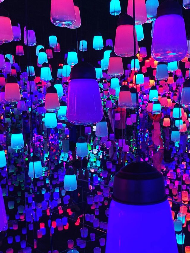 TeamLab Borderless- Transcending Artwork