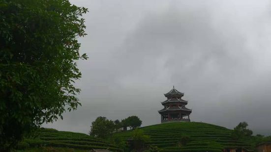 今天天氣特好，雨後空氣超級棒，也不熱，可以盡情深呼吸，滿眼都