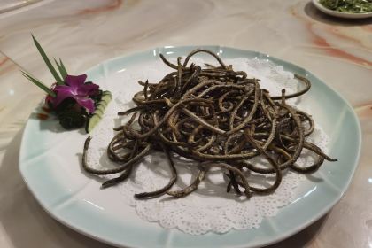 白马井鸿泰海鲜渔家村(人民路店)