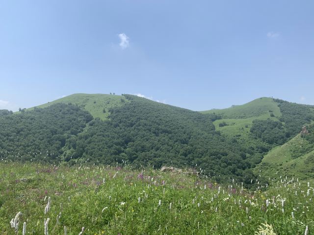千松壩森林公園