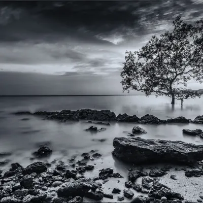 5-звездочные отели в г. Порт-Диксон