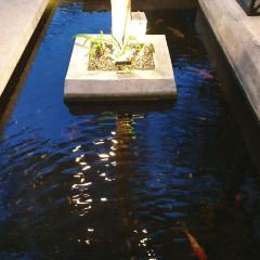 Factory Coffee User Photo