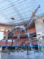 河源恐龍博物館