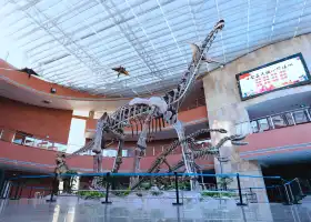 Музей Хэюань (Музей Хэюань Динозавров)