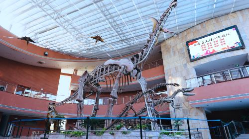 Heyuan City Museum (Heyuan Dinosaur Museum)
