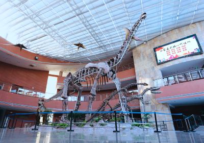 Heyuan City Museum (Heyuan Dinosaur Museum)